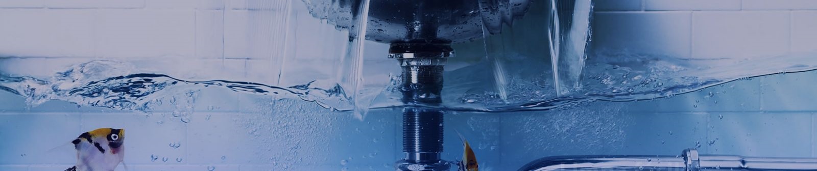 MARCELO HIDRÁULICA (CAÇA VAZAMENTO ) (ITAPEMA/SC), desentupidoras rj